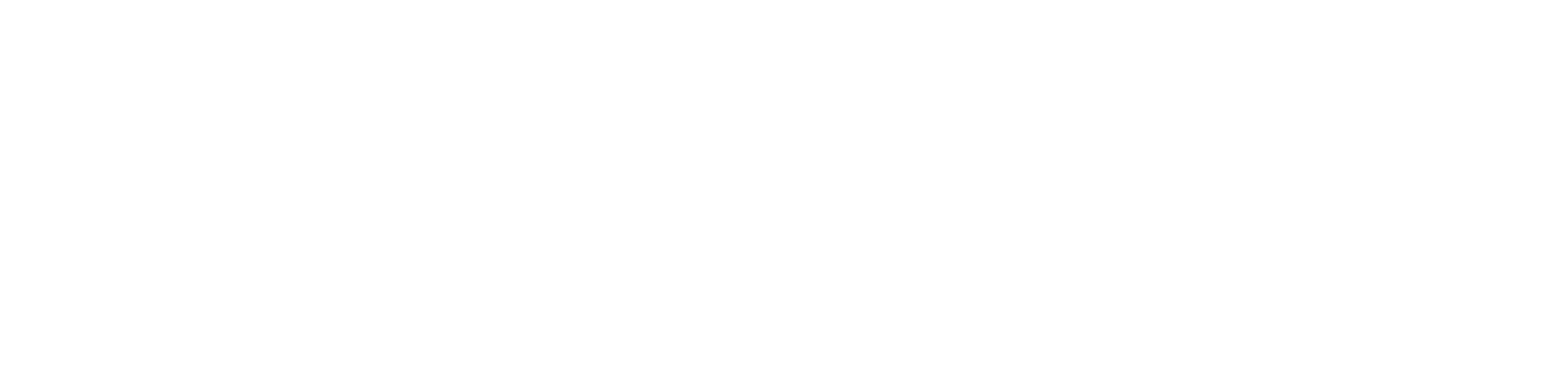 Intensivet Logo